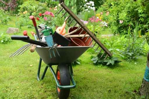 manutenção, limpeza de jardins campinas